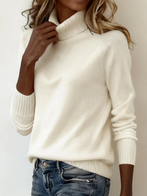 High Collar Raglan Sleeve Sweater